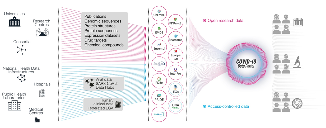 COVID-19 Data Portal